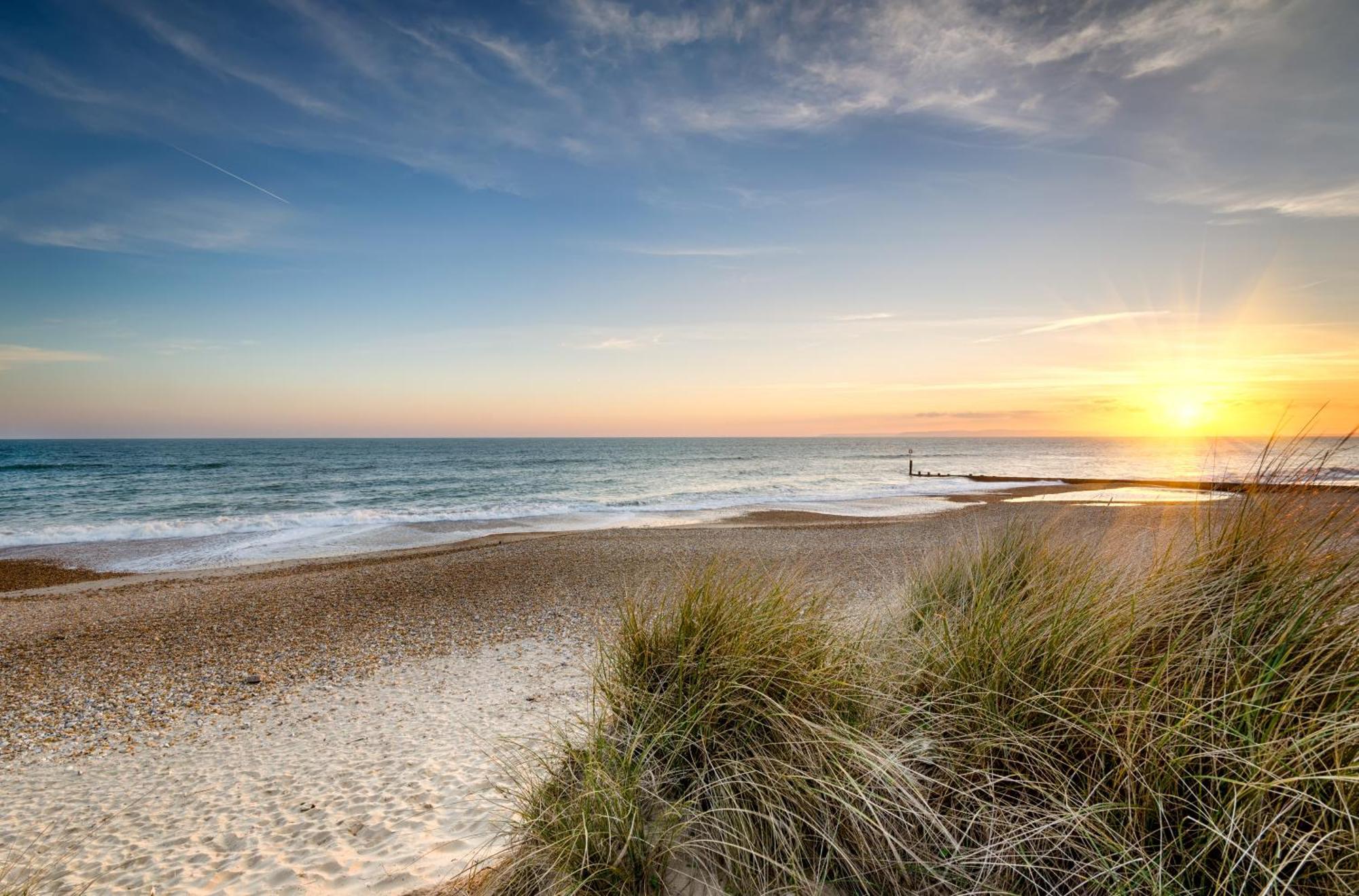 Cosy Bee And Apartment Bournemouth Ngoại thất bức ảnh